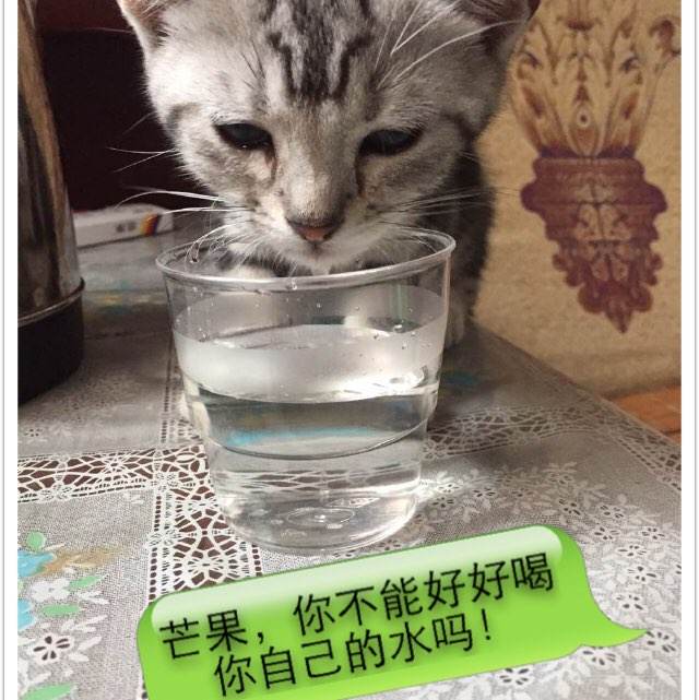 北方私立应用技术大学硕士学位证